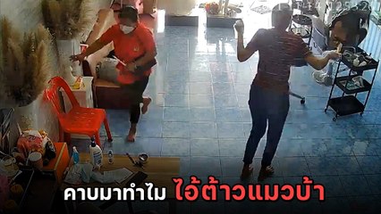 นาทีวงแตก ! เมื่อน้องแมวสุดแสบคาบสิ่งนี้เข้าร้านทำผม โอ๊ย.. ลมแทบจับ