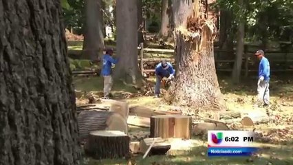 Se implementan nuevas cambios para la protección laboral en D.C.