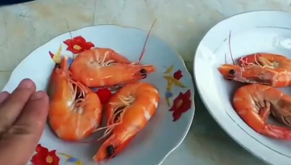 Clip: Nam thanh niên dạy cách phân biệt tôm luộc từ hàng tươi sống hay đã chết