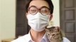 Bác sĩ tiết lộ vết thương hồi phục thần kì nhờ nuôi mèo