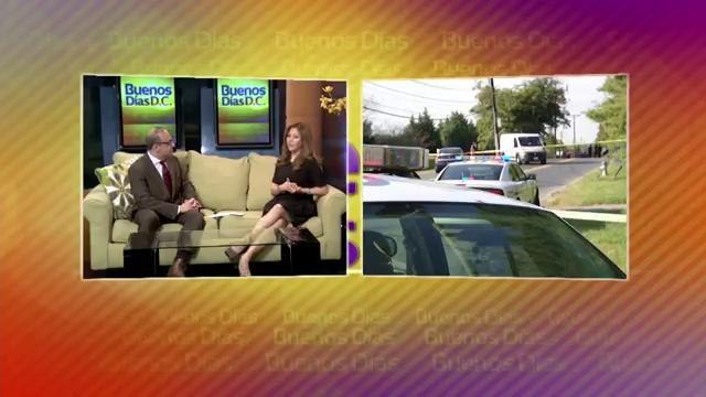 Conductores ebrios, un peligro en las carreteras