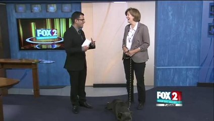 Cinderalla Pet Rescue