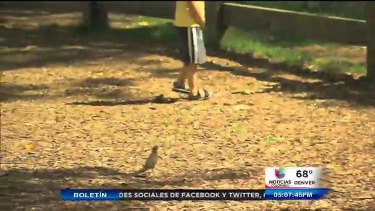 Disminuye pobreza en niños