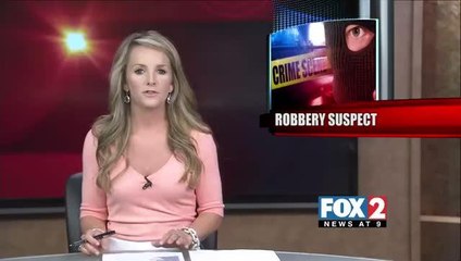 \'Operation Strong\' Proving Vital in Decreasing Criminal Activity along Border