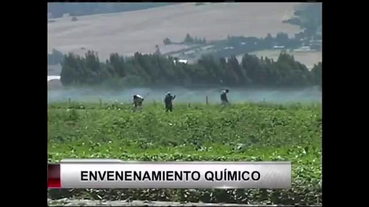 Advierten sobre la exposición a pesticidas