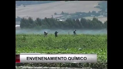 Advierten sobre la exposición a pesticidas