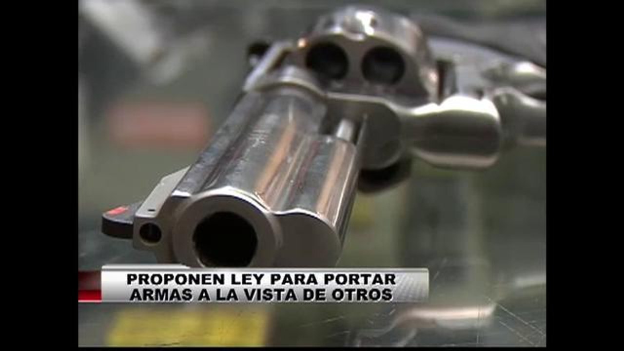Otorgaran el permiso de portar a la vista armas de fuego
