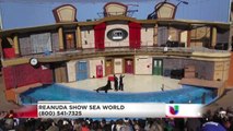 Reanuda Sea World show de lobos marinos