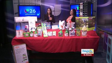 Productos esenciales para esta primavera