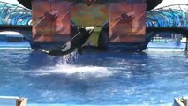 Seaworld lanza campaña publicitaria