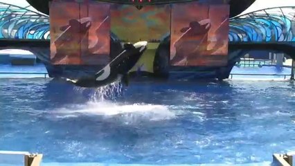 Seaworld lanza campaña publicitaria