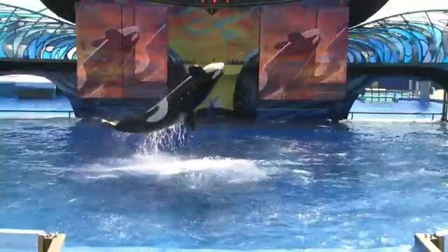 Seaworld lanza campaña publicitaria