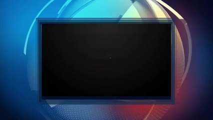 Te presentamos el Hotel de los Xolos