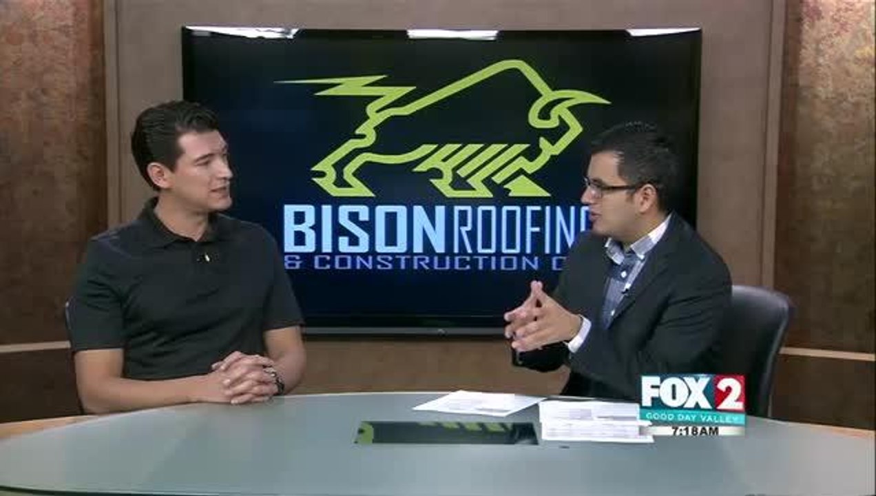 bison