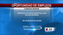 Oportunidad de empleos