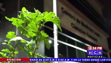 Hondureña se da a la fuga luego de abortar en el Materno Infantil en la capital