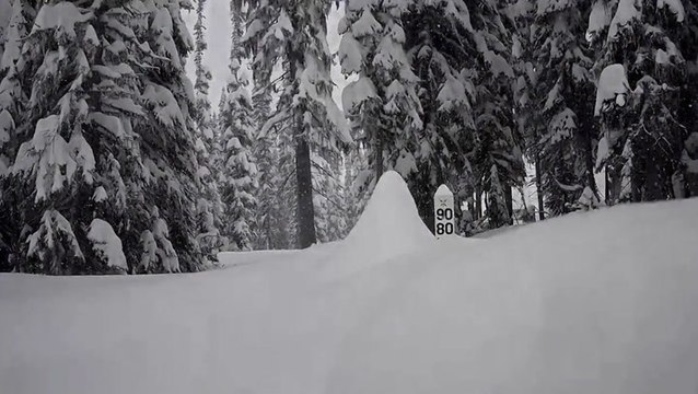 Wind-blown snow creates wintry scenes across the north