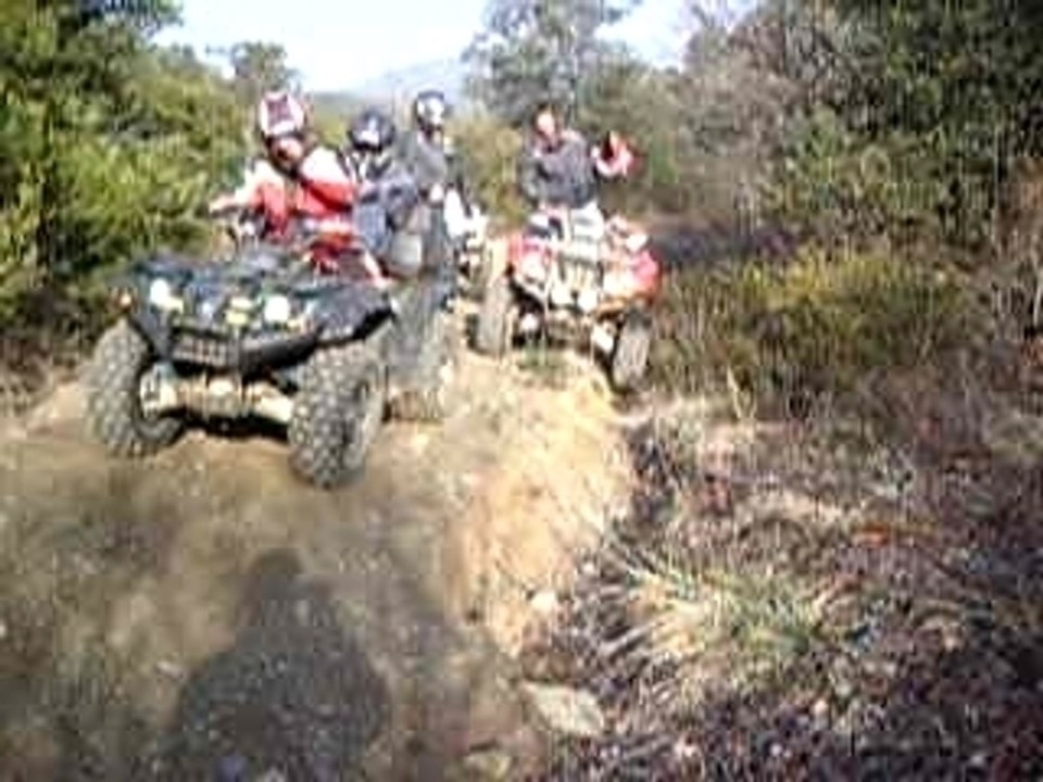GRIZZLY 660