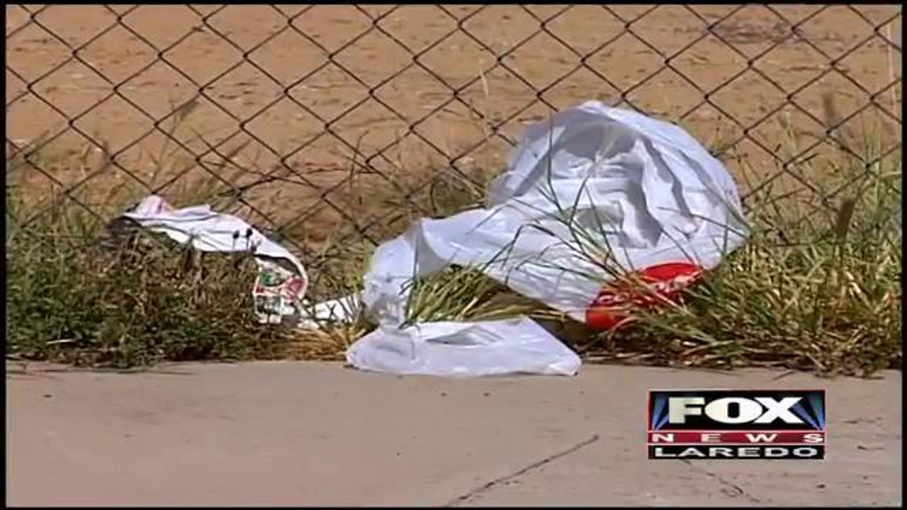 Plastic Bag Ordinance