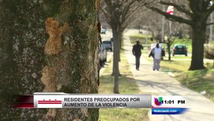 Incrementa la tasa de criminalidad en el Distrito