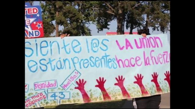 Apoyo a jornaleros de San Quintín