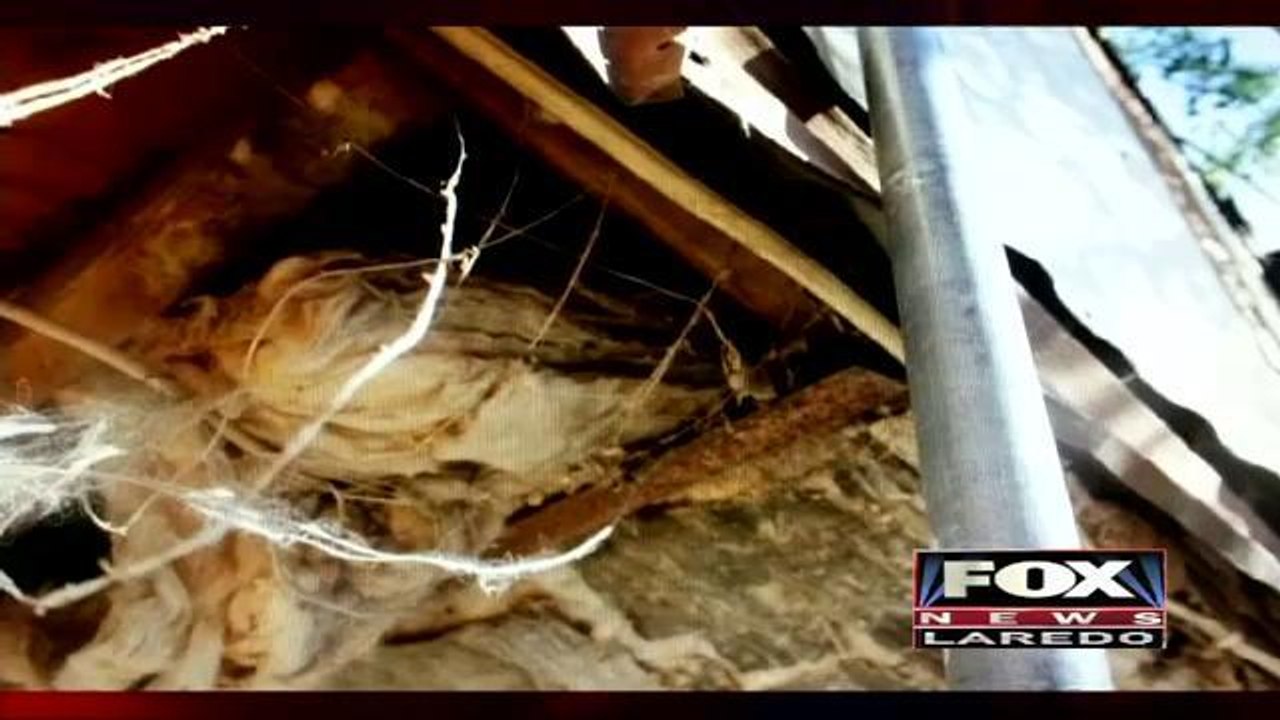 Six Year Old Electrocuted