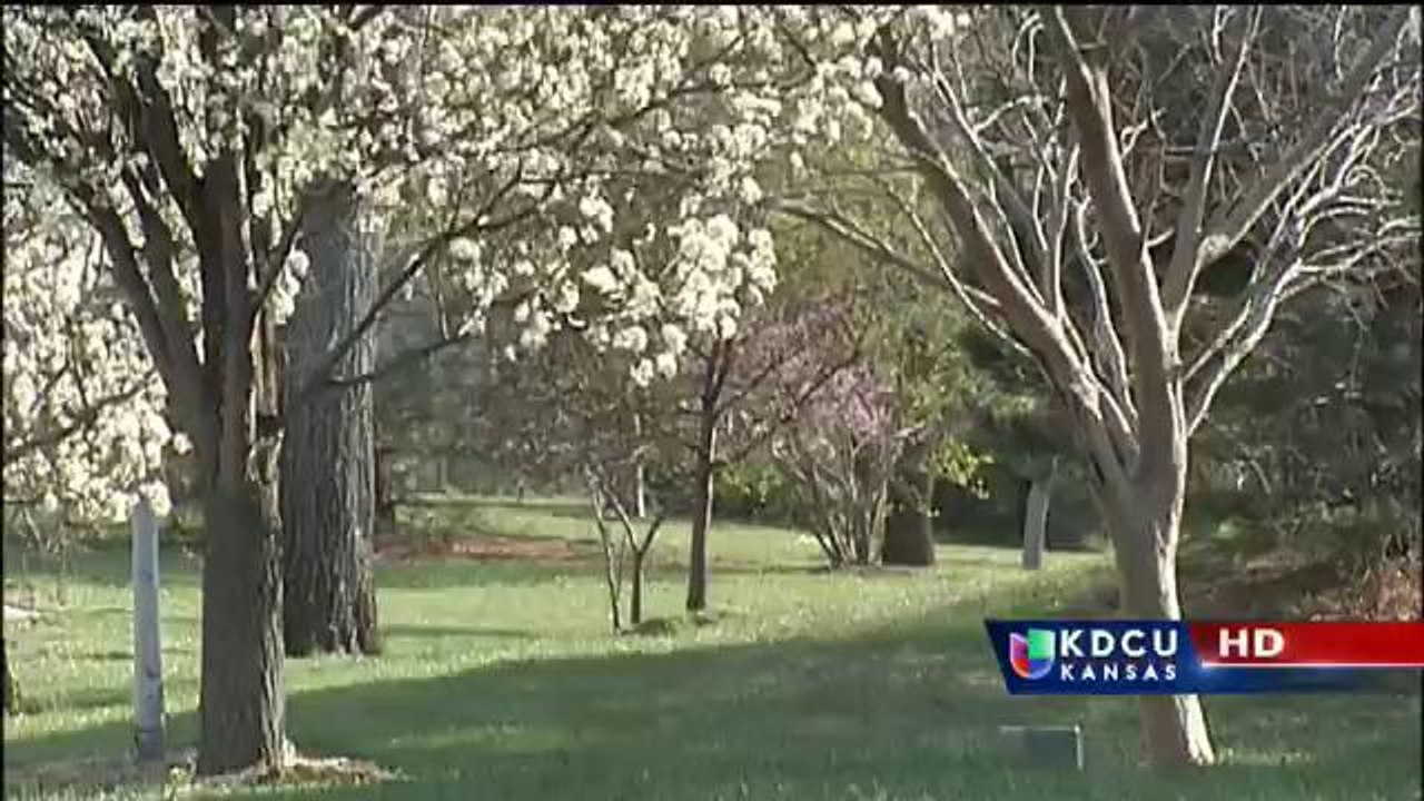 Aprovechando la primavera