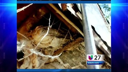 Niña y Su Tio Electrocutados