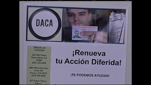 Solicitudes para DACA no se están haciendo