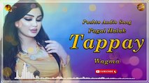 Pagal Halak - Tappay | Wagma | Pashto Audio Song | Spice Media