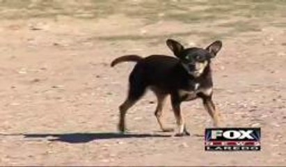 Potential Consequences