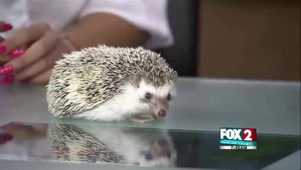 Gladys porter zoo