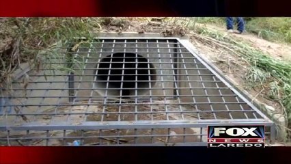 Metal Grates for Storm Drains