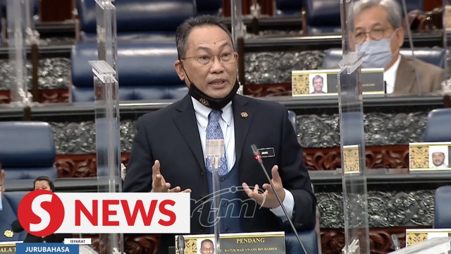 BM should be used by all patriotic M'sians, says PAS leader Awang Hashim