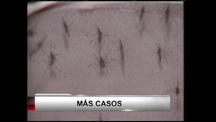 La sequía y el Virus del Nilo