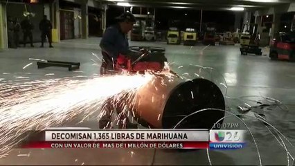Detectan más de mil libras de marihuana con valor superior a un millón de dólares