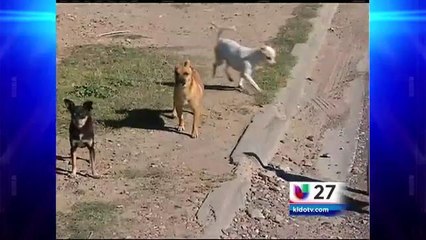 Advierten sobre consecuencias