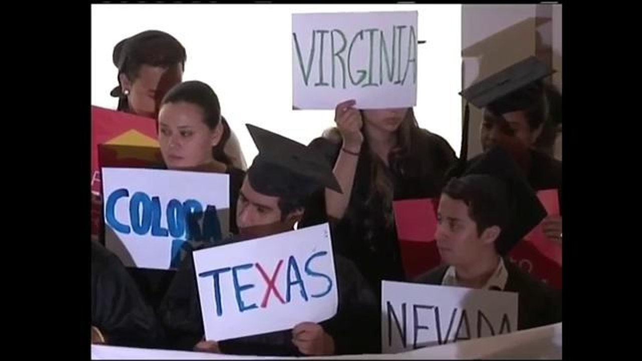 Apelación Acción Ejecutiva