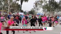 Caminata miracle babies 5k
