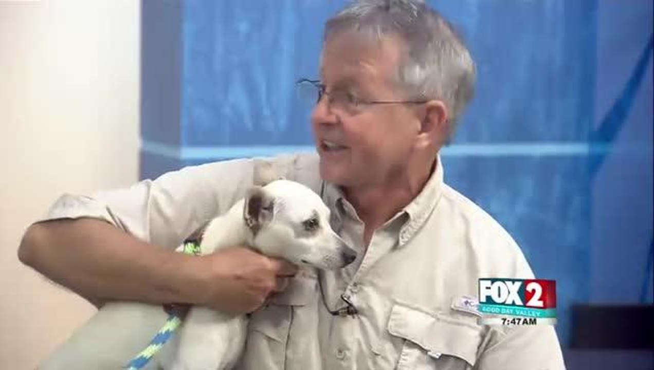 cinderella Pet Rescue