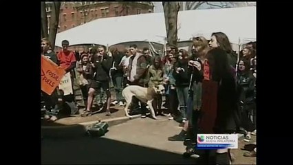 Empleados de limpieza