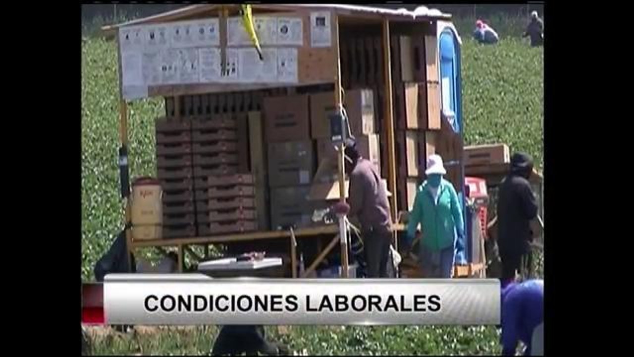 Activistas piden apoyo para causa campesina