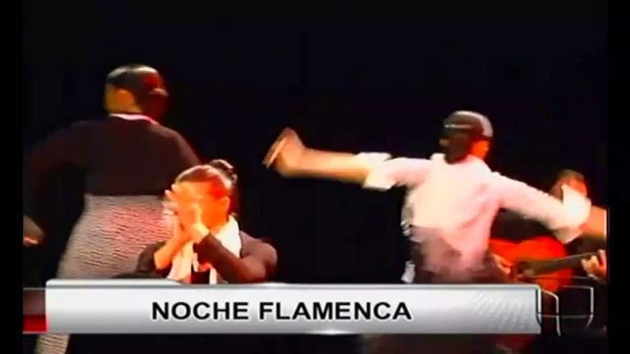 Noche Flamenca en Salinas