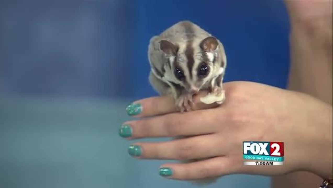 zoo