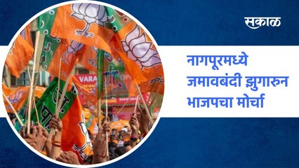 Nagpur | नागपूरमध्ये जमावबंदी झुगारुन भाजपचा मोर्चा, भाजपच्या 31 नेत्यांवर गुन्हा ; पाहा व्हिडीओ