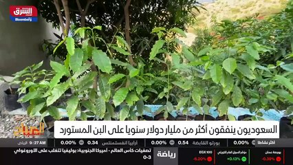 ...تجارية المحلية من البن الخولاني سعيدين ج...