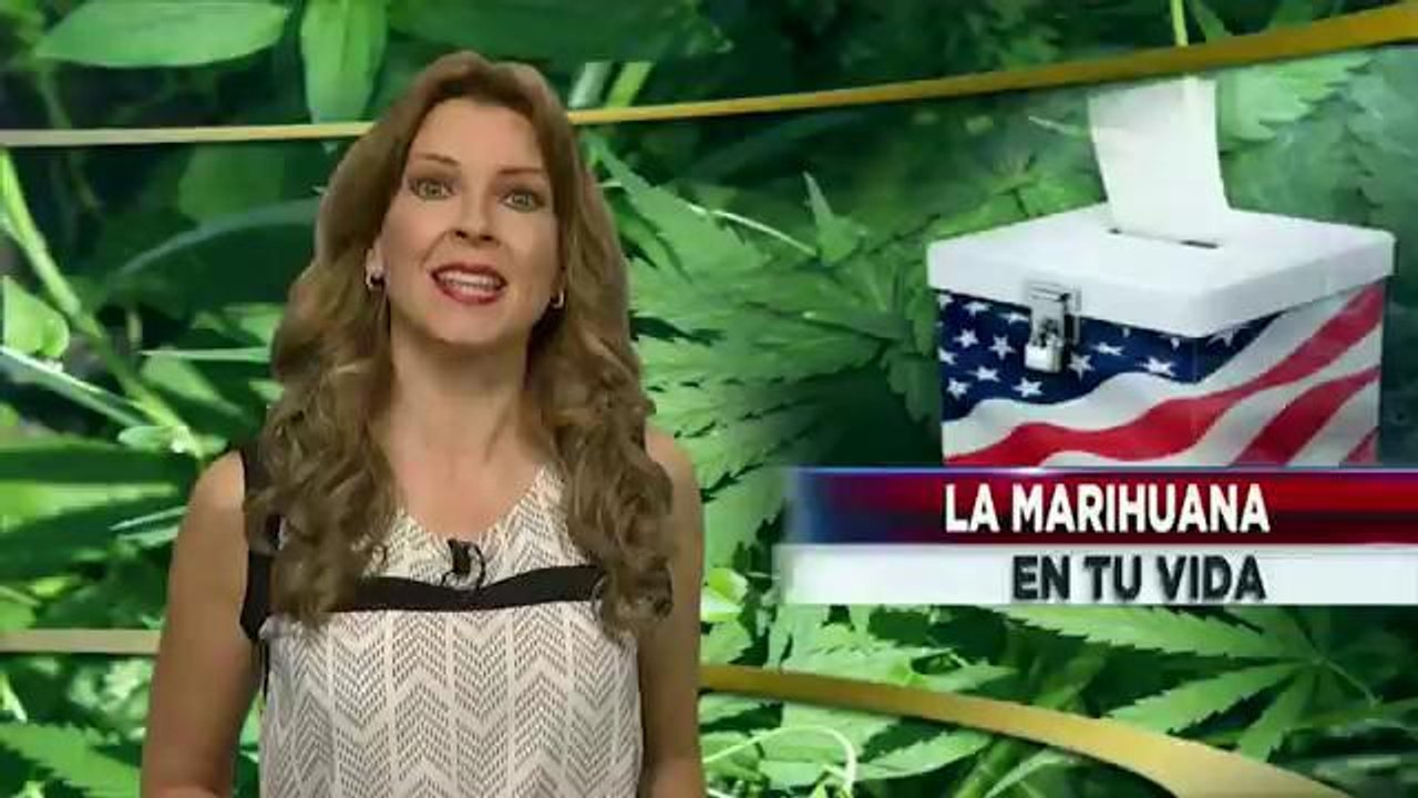 La Marihuana en tu vida (parte 1)