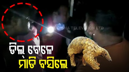 Pangolin Scales Smuggling Gang Busted In Khordha, 2 Arrested