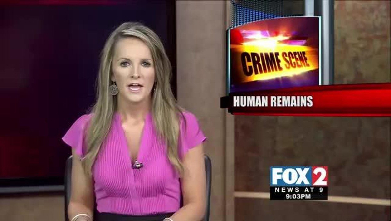 Human Remains Found in Cameron County