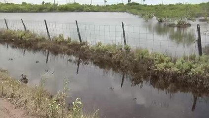 County Officials Extend State of Emergency Status